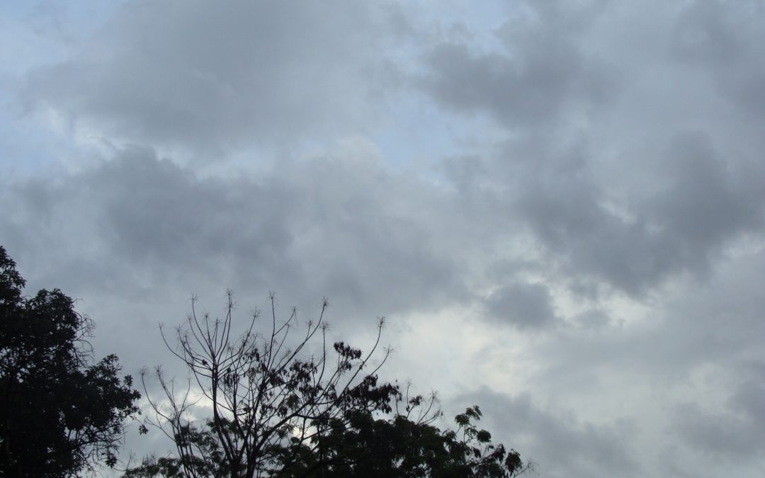 Lunes con leve ascenso de la temperatura en Mendoza