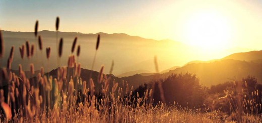 Tiempo bueno y ascenso de la temperatura