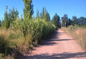 IMG-20170120-WA0006