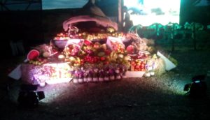 IMG-20170206-WA0005