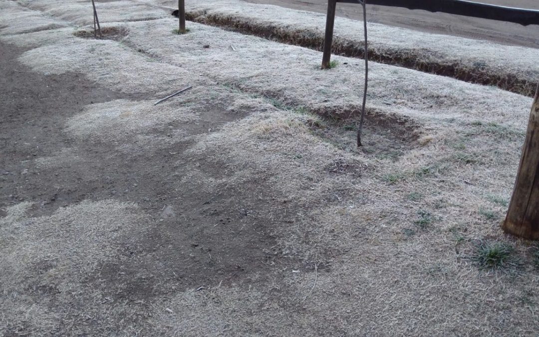 Jueves con una máxima de 11ºC