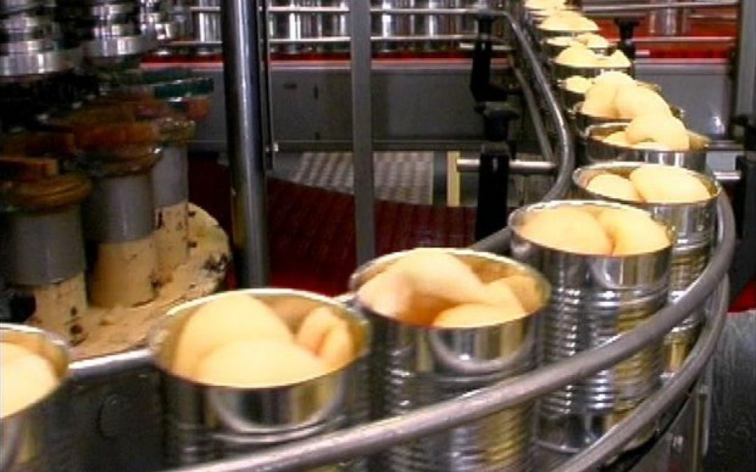 Las exportaciones mendocinas acumulan un crecimiento de 4% en volumen y facturación