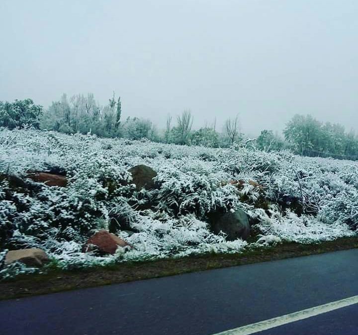 Fin de semana frío con lluvias y posibles nevadas en el llano