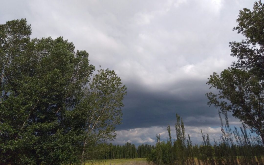 Tormentas en Mendoza: Rutas anegadas en el Valle de Uco y fallas eléctricas en el Gran Mendoza