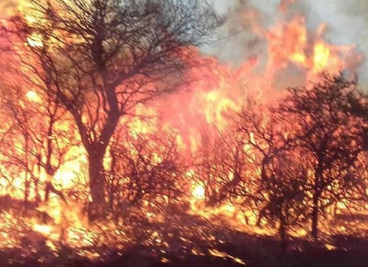 Lamentable: EL fuego arrasa a La Pampa