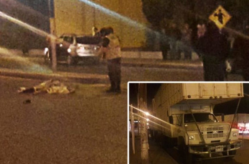 Neuquén: camionero mató a una mujer tras una discusión de tránsito