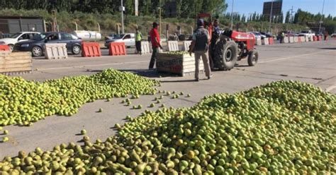 Productores tirarán peras y manzanas en forma de protesta