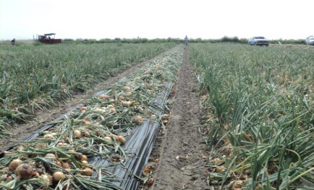 En setiembre comienza el Censo Agropecuario Nacional