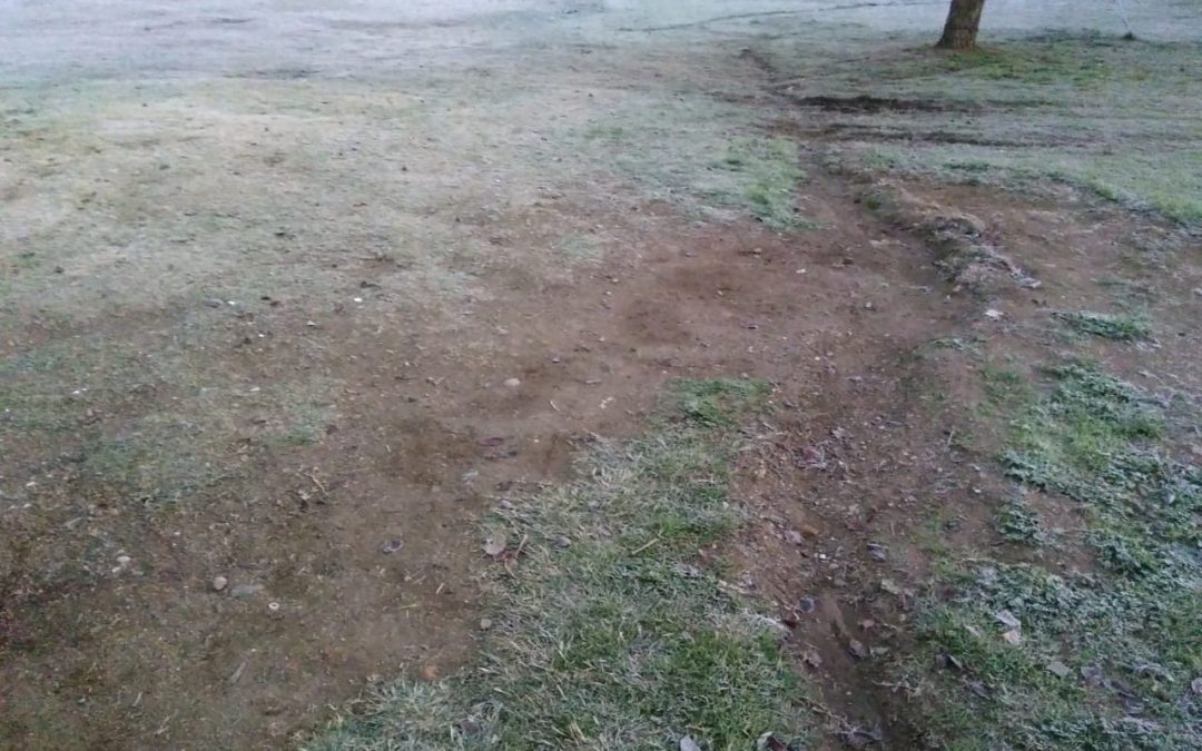 Miércoles frío con heladas, además se esperan vientos en el sur provincial