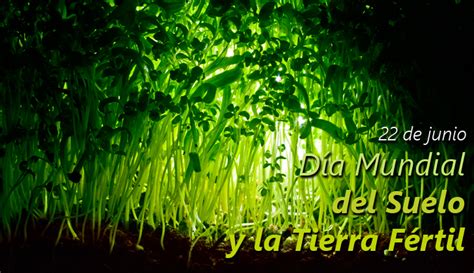 Efemérides: 22 de junio, Día Internacional del Suelo y la Tierra Fértil