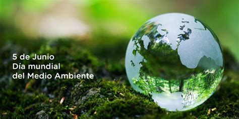Efemérides: 5 de junio, Día Mundial del Medio Ambiente