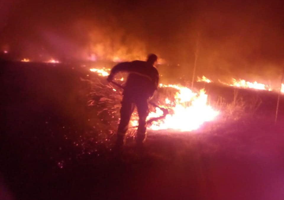 Alertan que las islas del Delta son incendiadas por productores agropecuarios