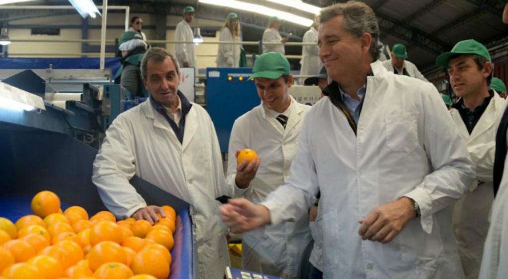 Después de siete años, Argentina volvió a exportar mandarinas a China