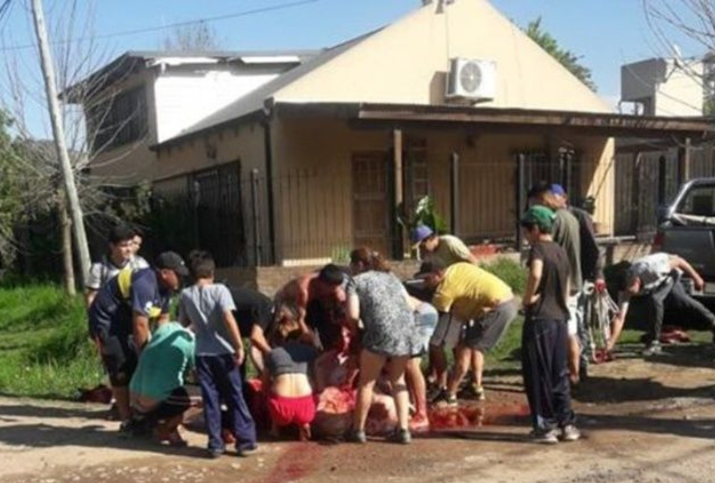 Volcó un camión y vecinos carnearon las vacas en la calle