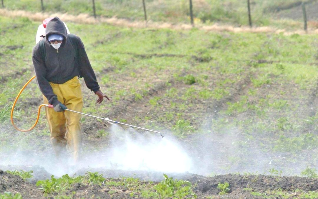 Efemérides: 26 de diciembre, Día Mundial contra el Uso Indiscriminado de Agroquímicos