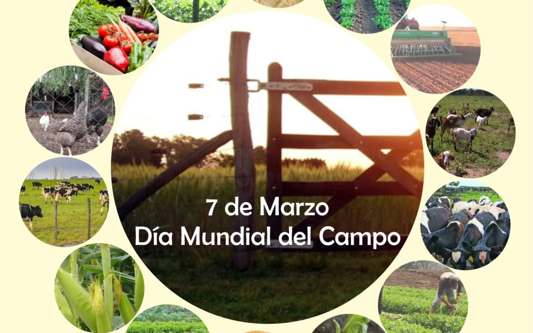 Efemérides: 7 de marzo, Día Mundial del Campo