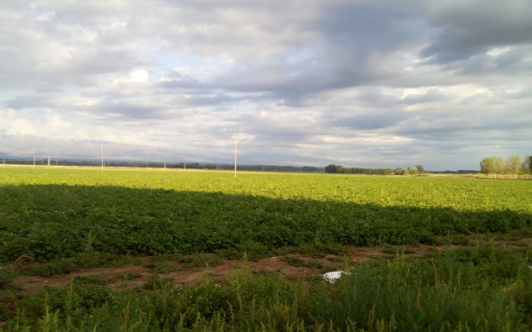 Miércoles con ascenso de la temperatura e inestable hacia la noche