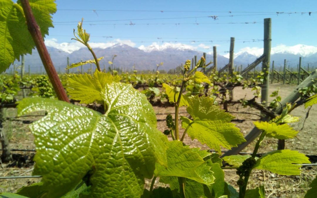 Hoy ascenso de la temperatura