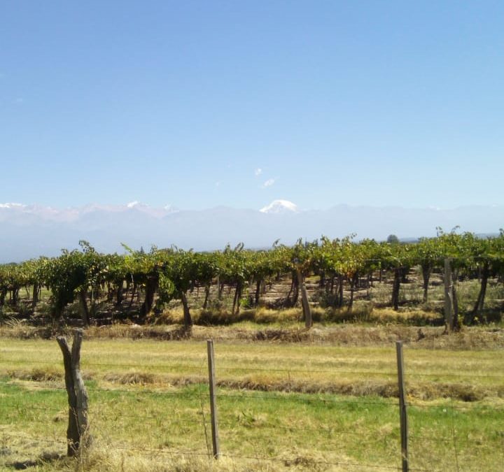 Clima: permanecen los días agradables en la provincia de Mendoza