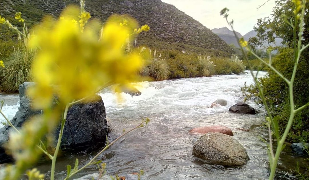 Martes con ascenso de la temperatura en Mendoza