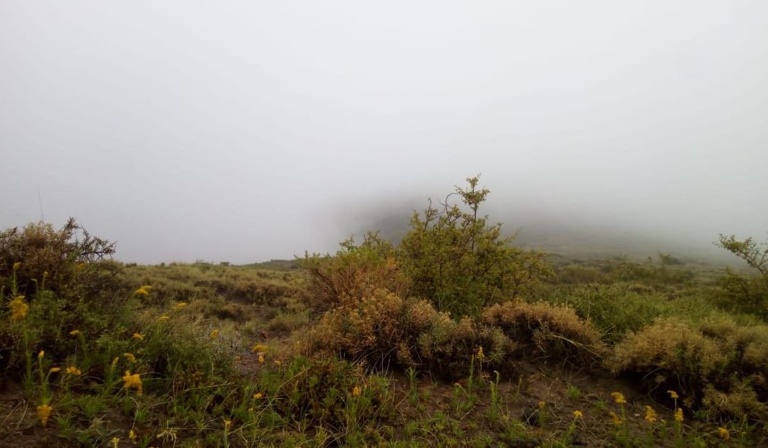 Miércoles con nubosidad y probabilidad de lluvias