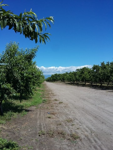Miércoles caluroso