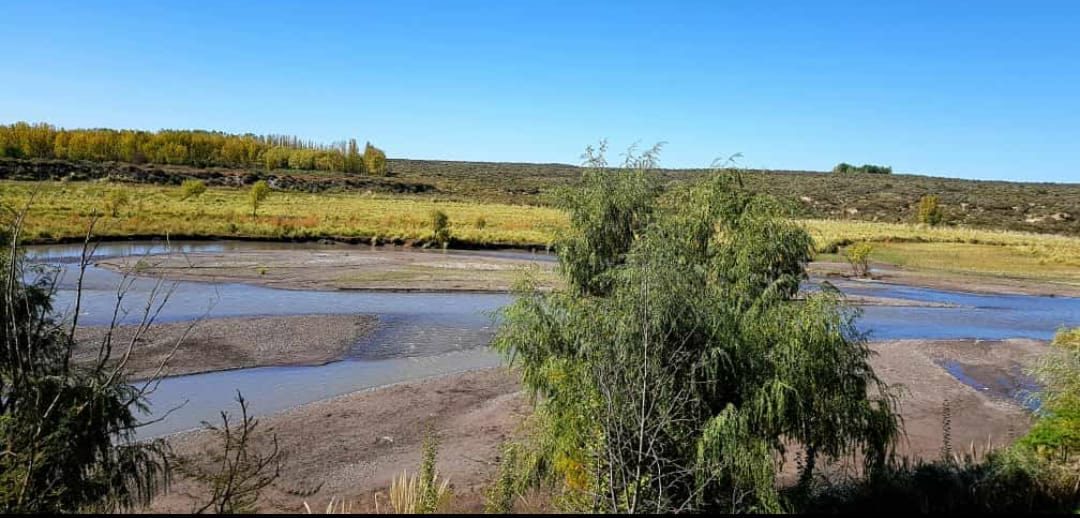 Viernes con ascenso de la en la provincia de Mendoza