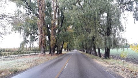 Jueves con ascenso de la temperatura en Mendoza