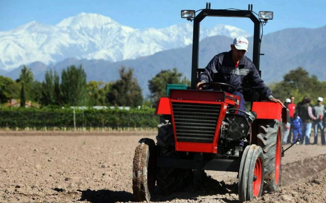 Efemérides: 8 de septiembre, Día del Agricultor y Productor Agropecuario