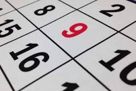 Lunes 8 de julio, ¿Es feriado puente o se trabaja normal?