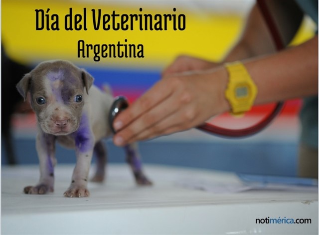 Efemérides: 6 de agosto, Día del Veterinario