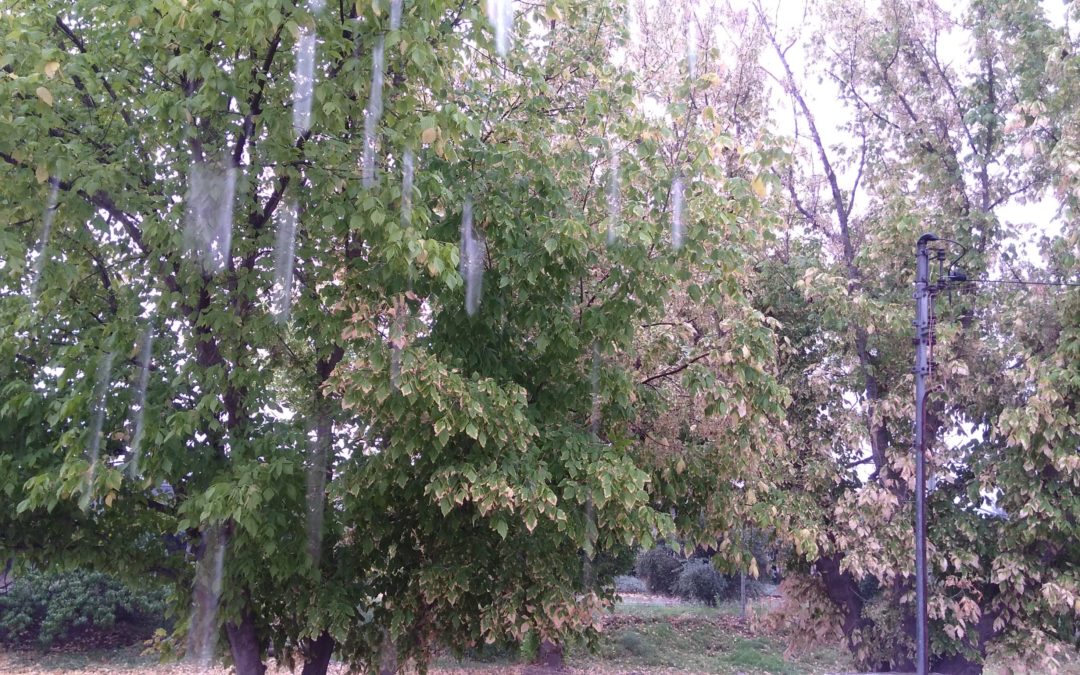 Miércoles de lluvias y marcado descenso de la temperatura