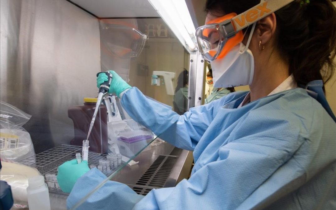 Científicos y médicos advierten que la pandemia se agravará en las próximas semanas