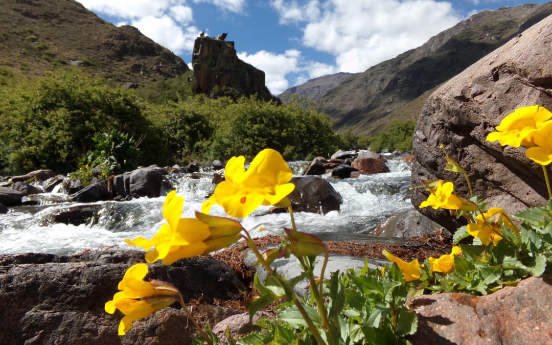 Jueves caluroso y probabilidad de lluvias en Mendoza