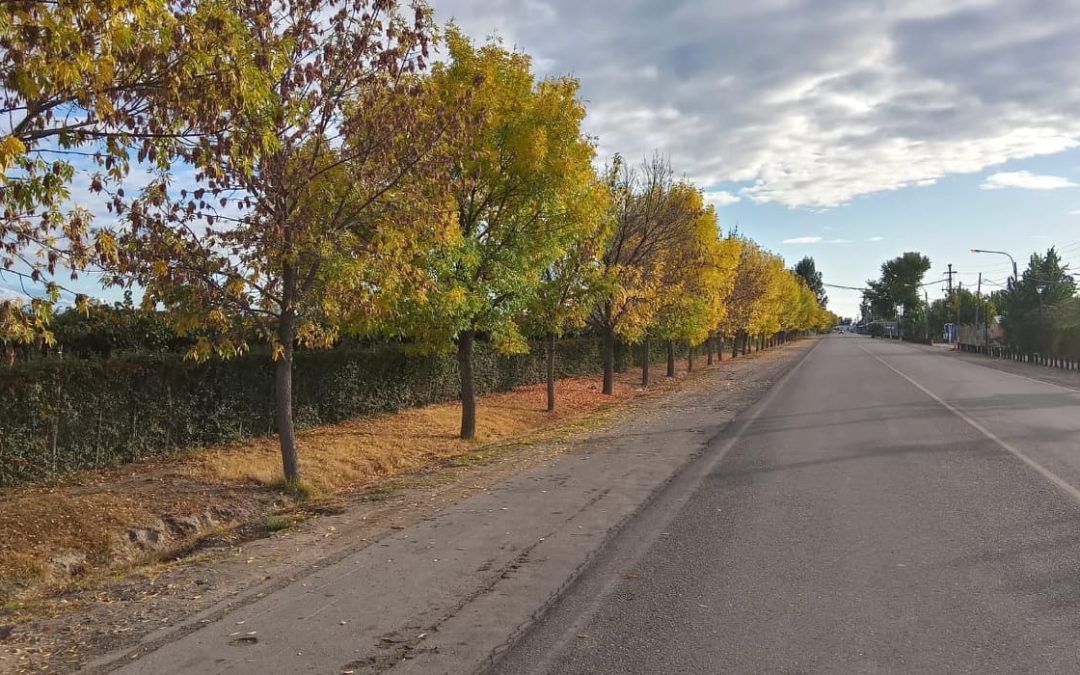 Viernes con nubosidad variable en la provincia de Mendoza