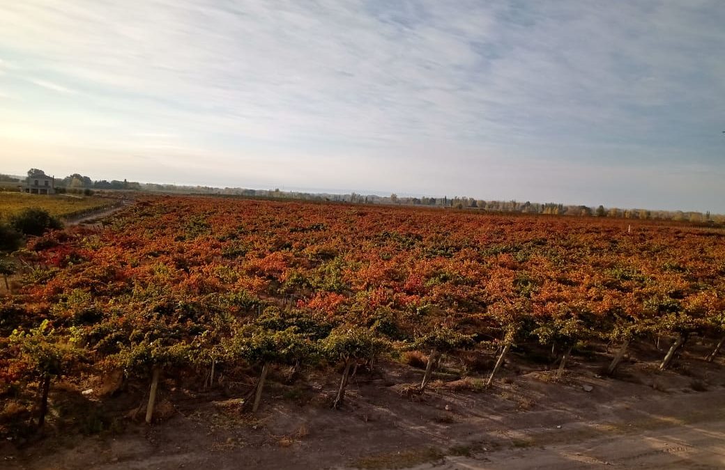 La última semana de abril tendrá días con temperaturas agradables