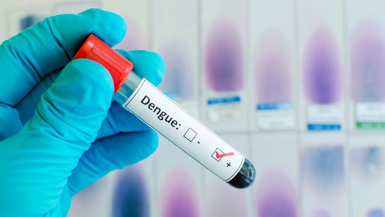 Dengue: ya son 32.223 los casos y 24 las muertes en la Argentina