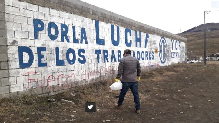Aparecieron más de 60 perros muertos en Río Turbio tras comer unos 70 kilos de carne envenenada