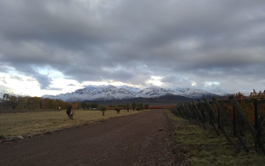 Clima en Mendoza: viernes con descenso de la temperatura