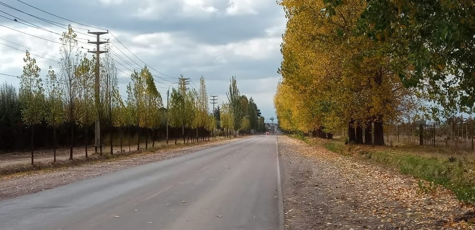 Viernes y sábado con días otoñales en la provincia mendocina