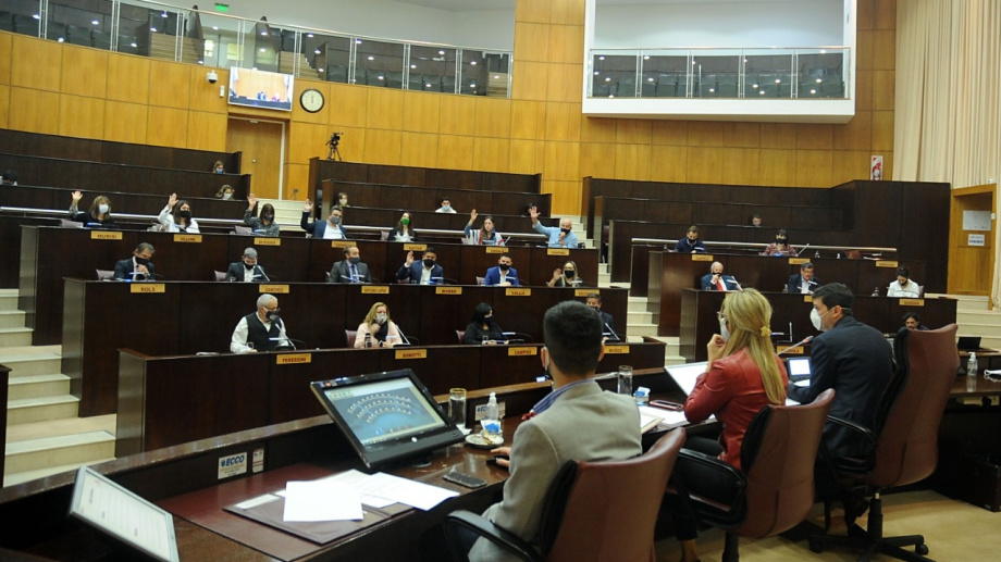 Piden que los diputados de Neuquén paguen por su comida
