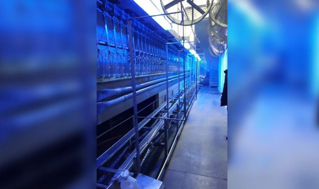 Cerraron una planta de pollos de Granja Tres Arroyos por 22 casos positivos