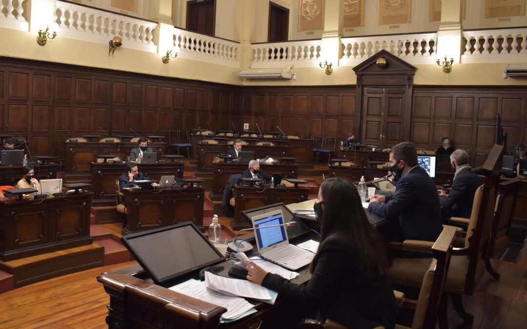 Legislador mendocino propone cárcel para aquellos que reivindiquen a la dictadura