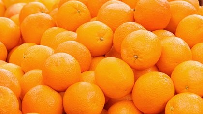 Argentina perderá 40 millones de dólares al suspenderse la exportación de naranjas