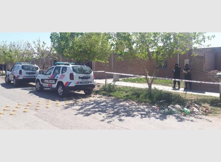 Un pitbull atacó y mató a una nena de 9 años