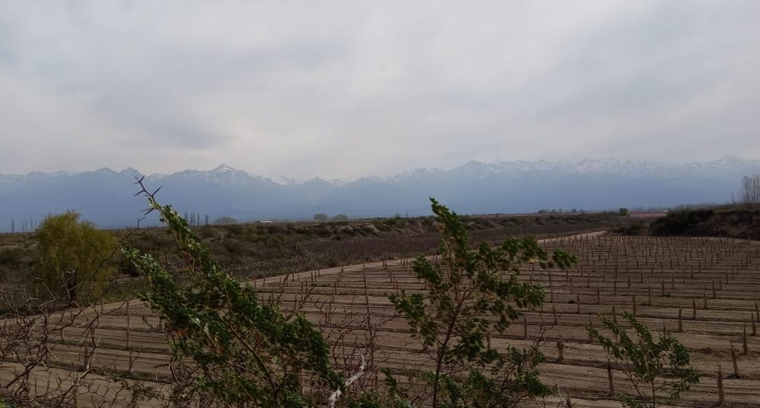 Viernes parcialmente nublado y ventoso en la provincia de Mendoza
