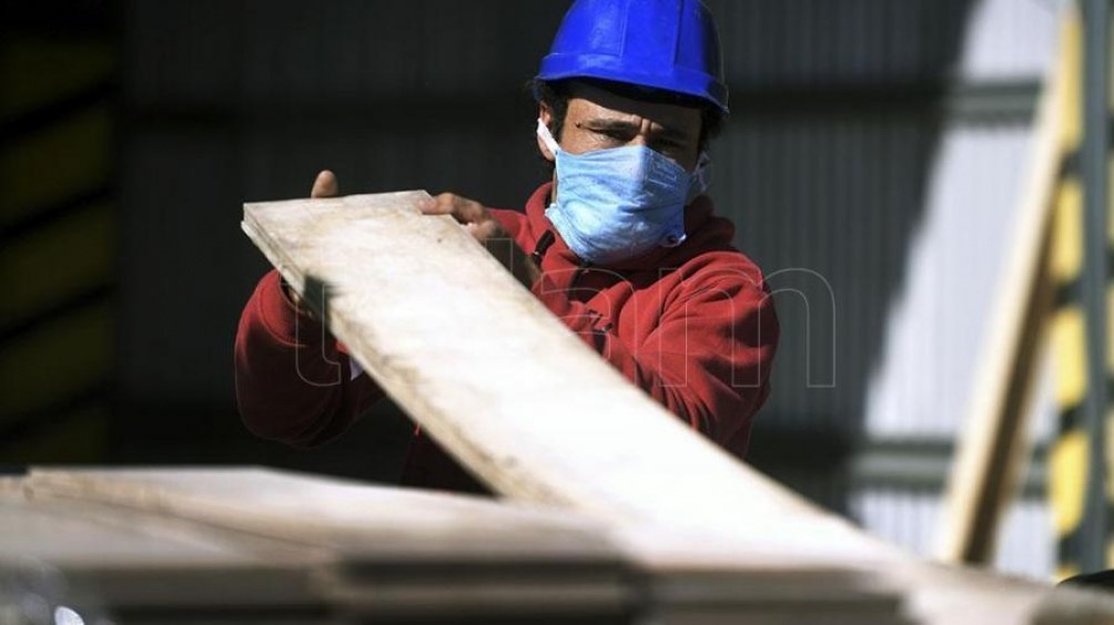 Se generó una demanda creciente de madera en plena pandemia