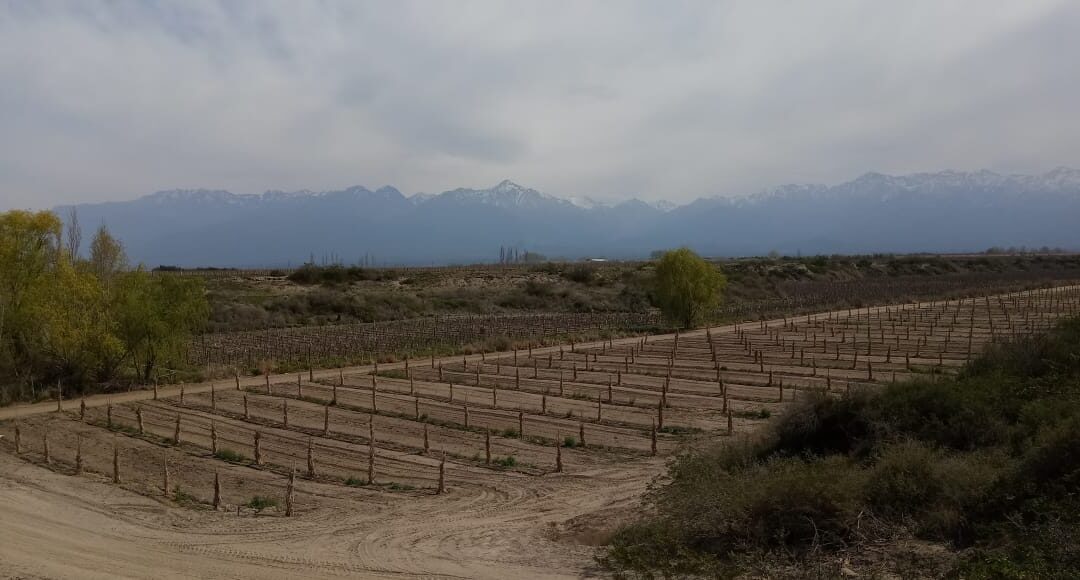 Este martes estará frío en la provincia de Mendoza