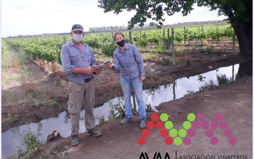 La Asociación de Viñateros de Mendoza lanzó la campaña «MI HUERTA»