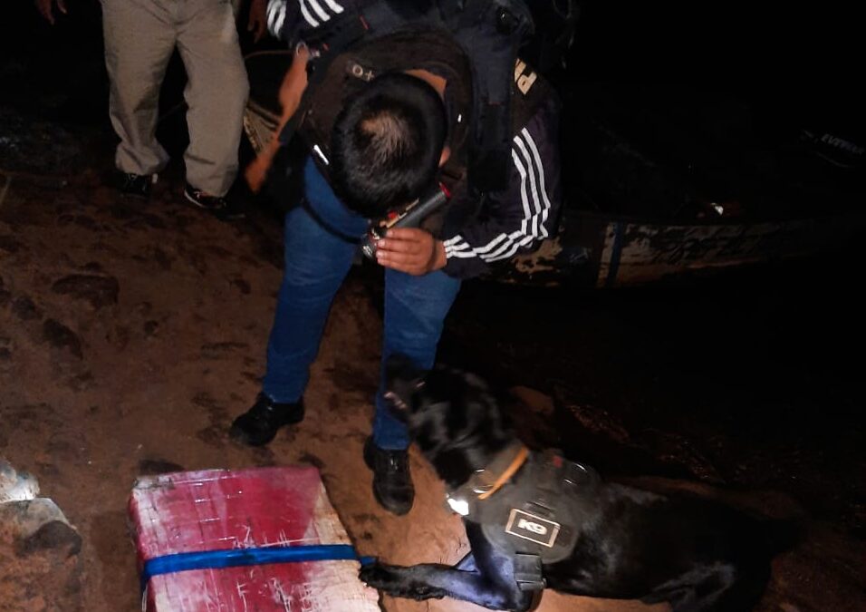 Operativo de Prefectura: incautaron más de 20 kilos de marihuana
